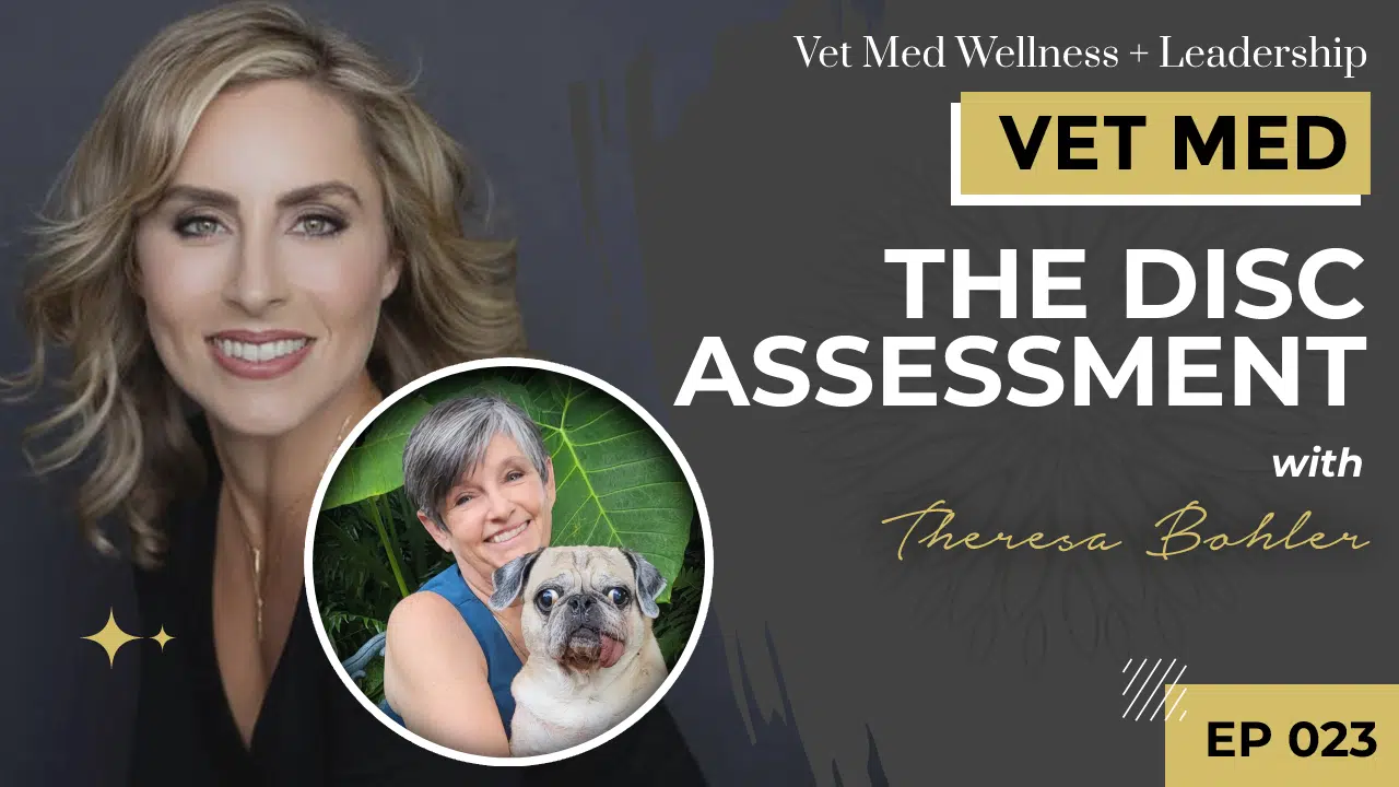 The DiSC Assessment with Theresa Bohler