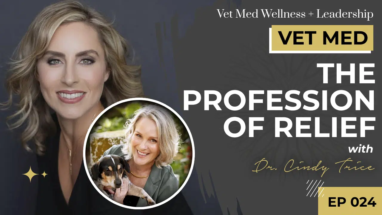 The Profession of Relief with Dr. Cindy Trice