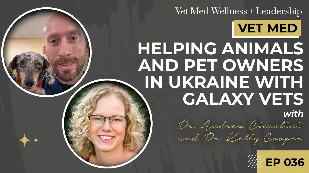 Helping Animals and Pet Owners in Ukraine with Galaxy Vets