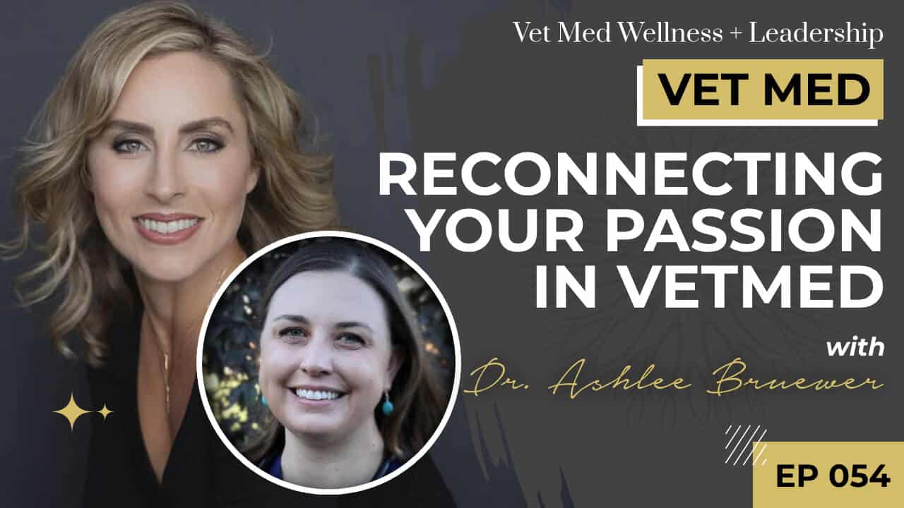 Reconnecting Your Passion in VetMed with Dr. Ashlee Bruewer