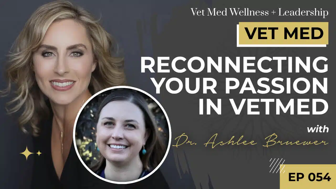 Reconnecting Your Passion in VetMed with Dr. Ashlee Bruewer